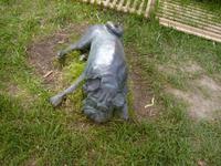 noch ein Hund von Lorio