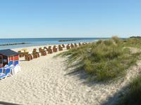 Strandkörbe an der Ostsee am Darss