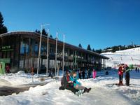 Am Feldberg 