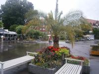 Am Lindauer Hafen