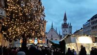 Am Marienplatz mit altem Rathaus im Hintergrund