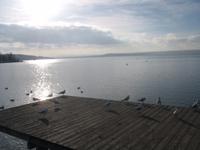 Ammersee