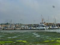 Amrum