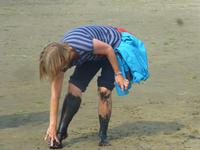Amrum