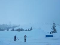 Auf dem Feldberg