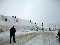 Auf dem Feldberg
