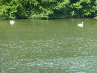 Auf der Mosel