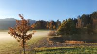 Aufbruch im Nebel