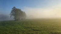 Aufbruch im Nebel