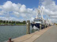 Büsum, Hafen