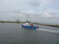 Büsum, Hafen