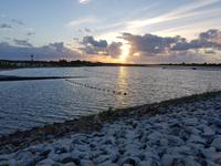 Büsum, Lagune