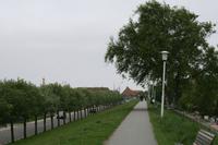 Büsums Deich