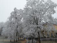 Bad Kissingen