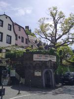 Beilstein