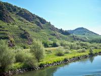 Bezaubernde Landschaft an der Mosel
