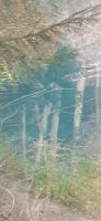 Blautopf