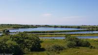 Blick über das Marschland der Insel Norderney in Richtung Wattenmeer und Festland oder 