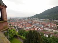 Blick auf Heidelberg