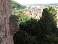 Blick auf Heidelberg
