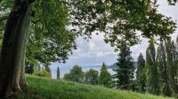 Blick auf den Bodensee