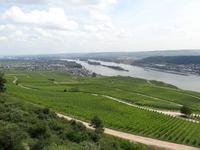 Blick auf den Rhein vom Niederwalddenkmal