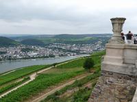 Blick auf den Rhein+ Bingen