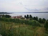Blick auf den See