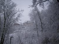 Blick auf die Wartburg