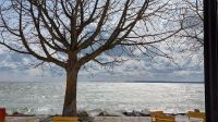 Blick aus dem Cafe-Fenster