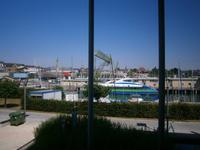 Blick vom 
