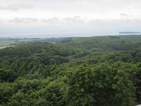 Blick vom Aussichtsturm auf den Bodden