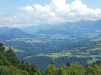 Blick vom Pfänder