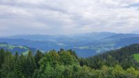 Blick vom Pfänder