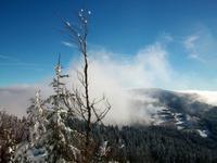 Blick von der Schwarzwald- Hochstraße