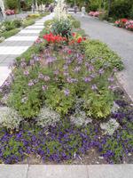 Blumenallee