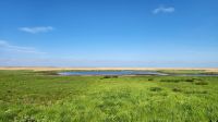 Boddenlandschaft