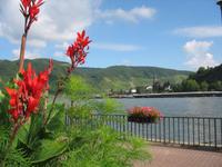 Boppard, Rheinpromenade