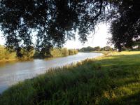 Bosse (Allertal)