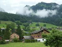 Bregenzer Wald