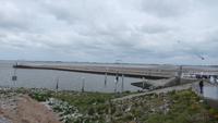 Brutgebiet