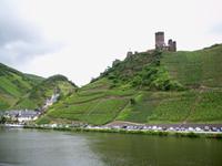 Burg Metternich