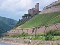 Burgruine Ehrenfels