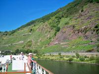 Calmunt, steilster Weinberg Europas