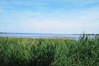 Chiemsee