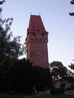 DSC06604
