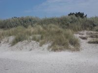 DSCN0172.JPG
