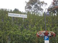 DSCN4787  Weinberg