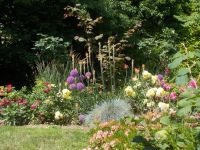 DSCN6105.JPG
