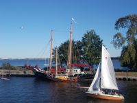 DSCN7837.JPG